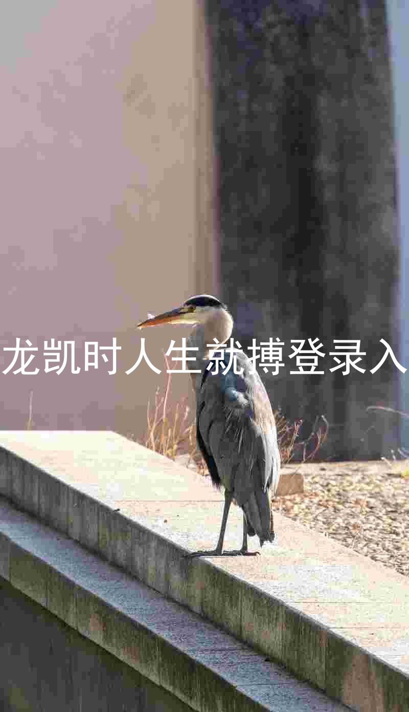 尊龙凯时人生就搏登录入口